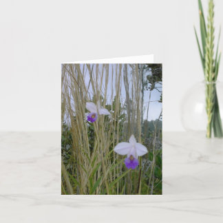 Wild Orchid Notecards, Big Island, Hawaï Kaart