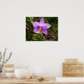 Wild Orchid Paarse Tropische Bloem Poster (Keuken)