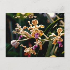 Wild Orchid sparen het Briefkaart van de Datum
