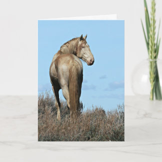 Wild Oregon Mustang Stallion Wenskaart Kaart