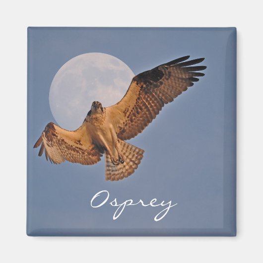 Wild Osprey & Super Moon Photo Design Magneet (Voorkant)