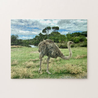 Wild Ostrich Savannah Green Grass Trees Lake Uitzi Legpuzzel
