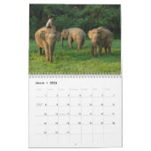 wild over de olifantenkalender kalender (Mar 2026)