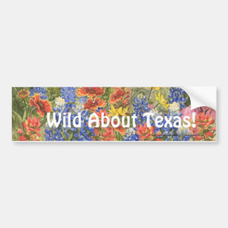 Wild Over Texas. Bumpersticker