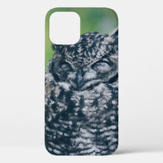 WILD OWL IN DE FRANSE BOEST iPhone 12 HOESJE