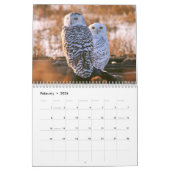 Wild Owls Calendar Kalender (Feb 2026)