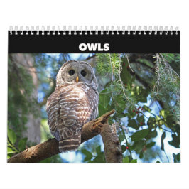 Wild Owls Calendar Kalender