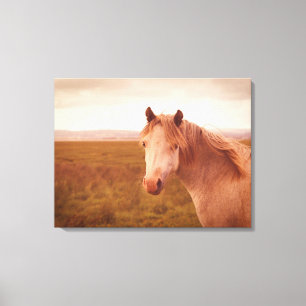 wild paard canvas afdruk