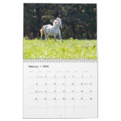 Wild Paard Kalender (Feb 2026)