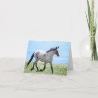 Wild Paard Mica/Mato Ska Hardlopen