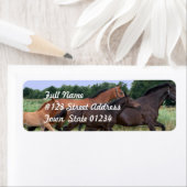 Wild Paard Retouradres Mailing Label (Insitu)