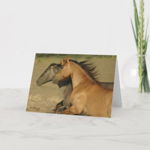 Wild paarden die op Vrijheid terugkomen Kaart