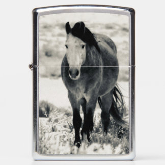 WILD PAARDEN VAN UTAH