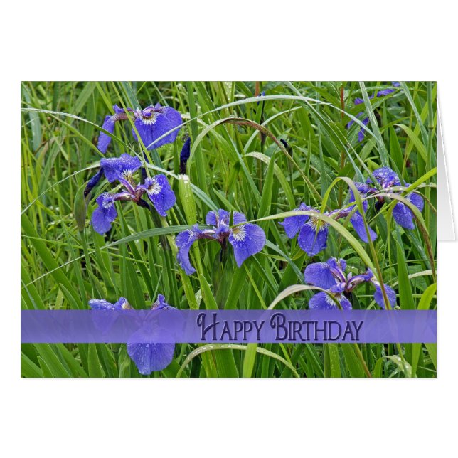Wild Paars Iris (Voorkant Horizontaal)