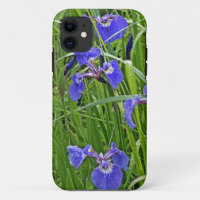 Wild Paars Iris