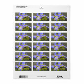 Wild Paars Iris Etiket (Full Sheet)