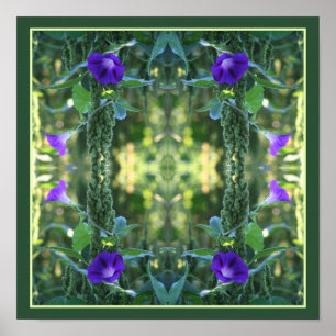 Wild Paarse Morning Glory Flowers Abstract Poster