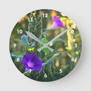 Wild Paarse Morning Glory Flowers Ronde Klok