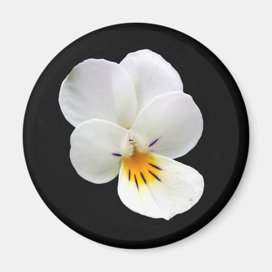 Wild Pansy Magnet Magneet (Voorkant)
