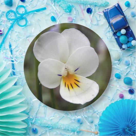 Wild Pansy Paper Borden Papieren Bordje (Feest)