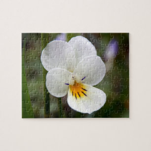 Wild Pansy Photo Puzzle met Gift Box Legpuzzel