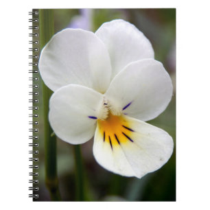Wild Pansy Spiral Photo Notitieboek