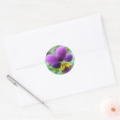Wild Pansy Sticker (Envelop)