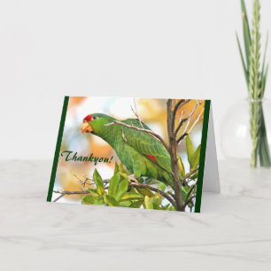 Wild Parrot Thankyou! Card Bedankkaart