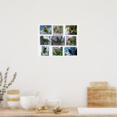 Wild Parrot van S.F. Poster (Keuken)