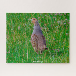Wild Partridge Legpuzzel