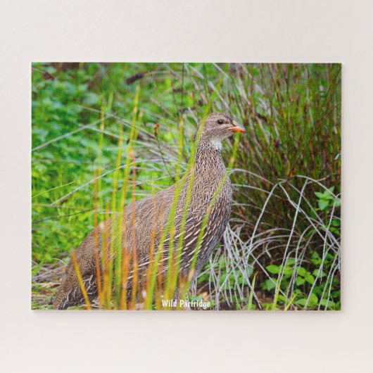 Wild Partridge Legpuzzel (Horizontaal)