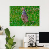 Wild Partridge Poster (Thuiskantoor)
