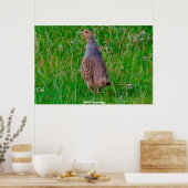 Wild Partridge Poster (Keuken)