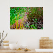 Wild Partridge Poster (Keuken)