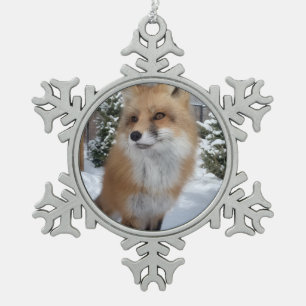 Wild Paws Finneas Sneeuwvlok Omlijst Ornament