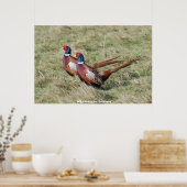 Wild Pheasant Brothers Poster (Keuken)