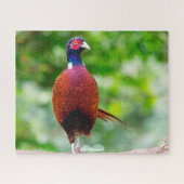 Wild Pheasant Legpuzzel (Horizontaal)