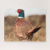 Wild Pheasant Legpuzzel (Horizontaal)