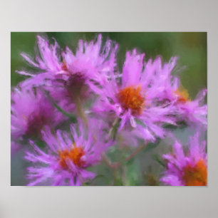 Wild Pink Asters Flower Art Poster