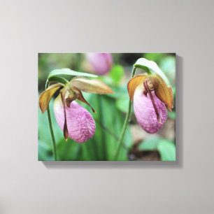Wild Pink Lady Slipper Orchid Pair Canvas Afdruk