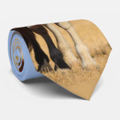 Wild Pinto Horse Stropdas (Opgerold)