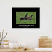 Wild Plains Buffalo Rolling Wildlife (klein formaa Poster (Keuken)