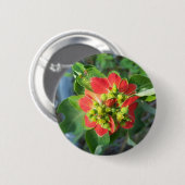 wild Poinsettia Ronde Button 5,7 Cm (Voorkant /achterkant)