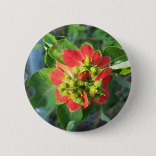 wild Poinsettia Ronde Button 5,7 Cm
