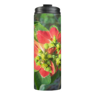 wild Poinsettia Thermosbeker