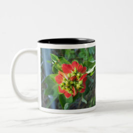 wild Poinsettia Tweekleurige Koffiemok