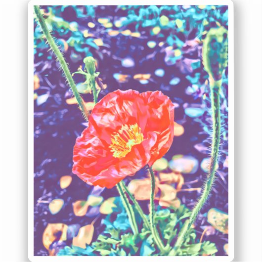 Wild Poppies Vinyl Sticker (Voorkant)