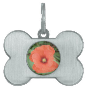 Wild Poppy Flower Pet Tag Huisdieren Naamplaatje