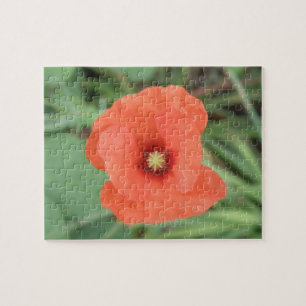 Wild Poppy Flower Puzzle Legpuzzel