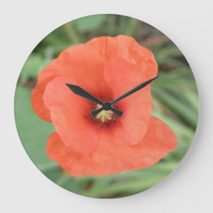 Wild Poppy Flower Wall klok